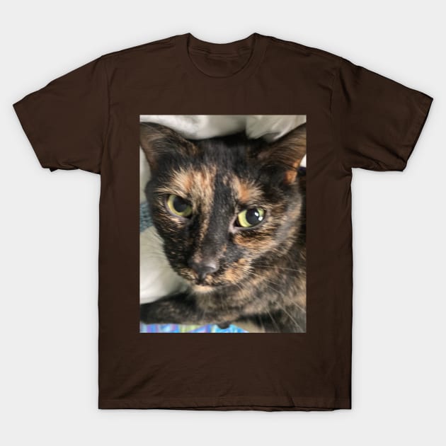 Soulful Tortie T-Shirt by Amanda1775